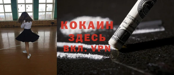 скорость Гусев