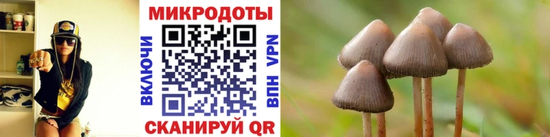купить  сайты  Нефтеюганск  Псилоцибиновые грибы Magic Shrooms 